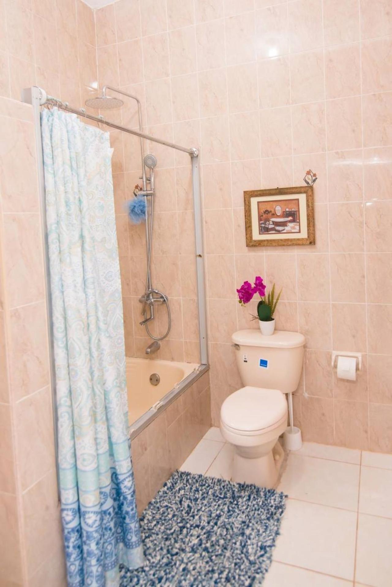 Suzette Guesthouse Accommodations Saint Maryʼs エクステリア 写真